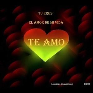 Meet your Posher, Leonardo